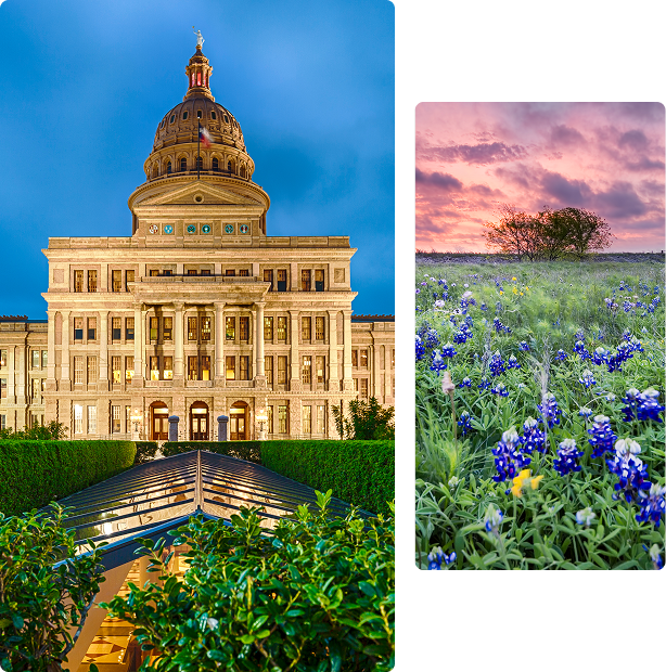 Capitol building and field of bluebonnets.